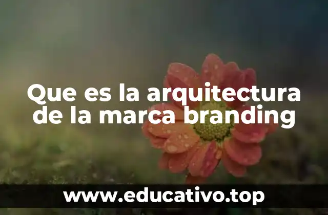 Que es la arquitectura de la marca branding