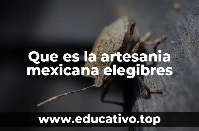 Que es la artesania mexicana elegibres