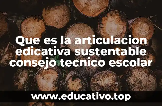 Que es la articulacion edicativa sustentable consejo tecnico escolar