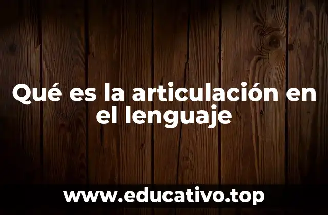 Qué es la articulación en el lenguaje