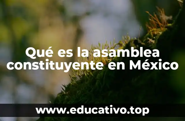 Qué es la asamblea constituyente en México
