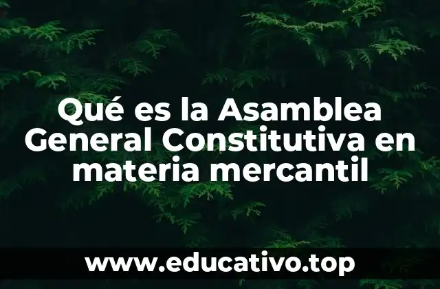 La importancia de la reunión formal en la creación de una empresa