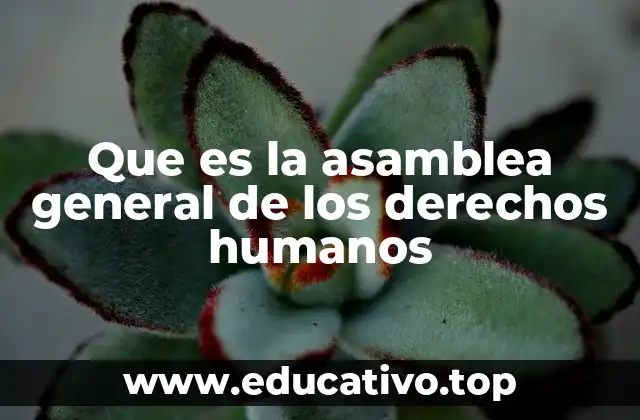 Que es la asamblea general de los derechos humanos