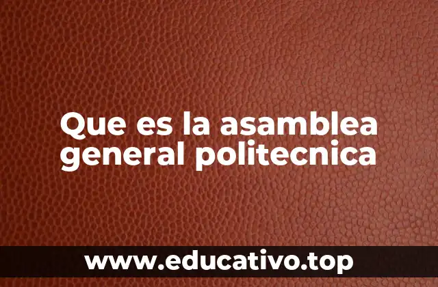 La importancia de la participación estudiantil en la vida universitaria