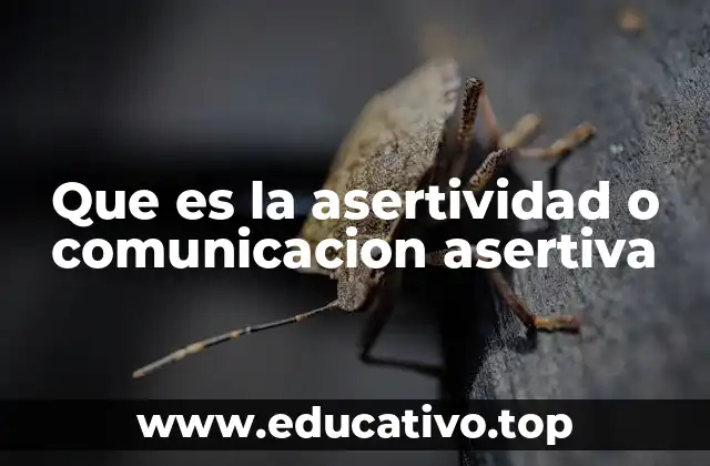 La importancia de hablar con claridad y respeto en la vida cotidiana