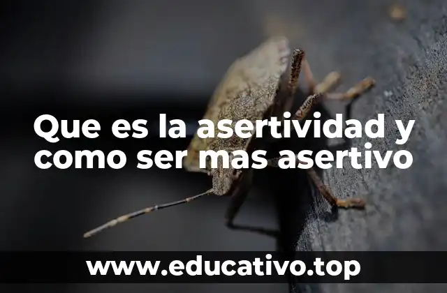 Que es la asertividad y como ser mas asertivo