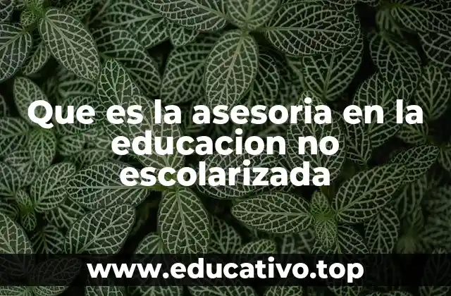 Que es la asesoria en la educacion no escolarizada