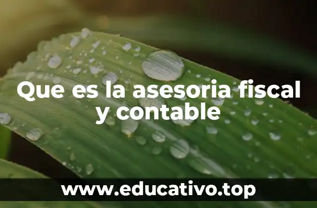 Que es la asesoria fiscal y contable