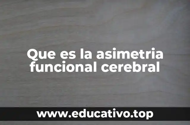 Que es la asimetria funcional cerebral