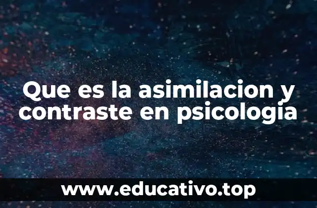 La importancia de los procesos cognitivos en el desarrollo humano