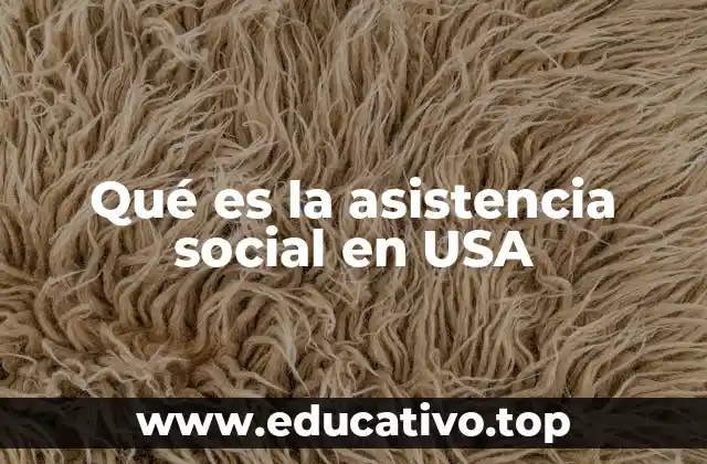 Qué es la asistencia social en USA