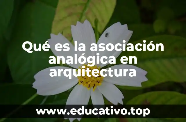 Qué es la asociación analógica en arquitectura
