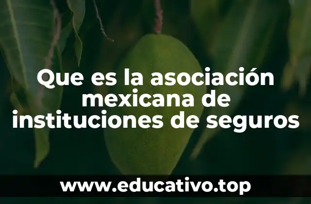 Que es la asociación mexicana de instituciones de seguros