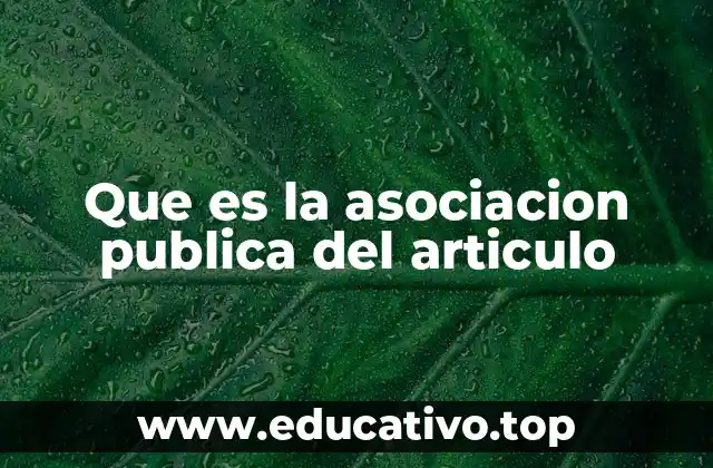 Que es la asociacion publica del articulo
