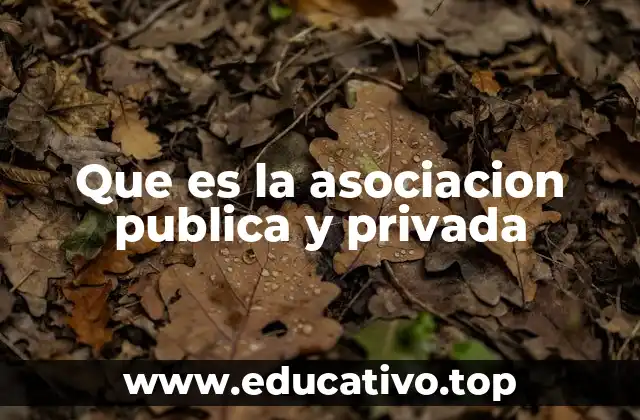 Que es la asociacion publica y privada