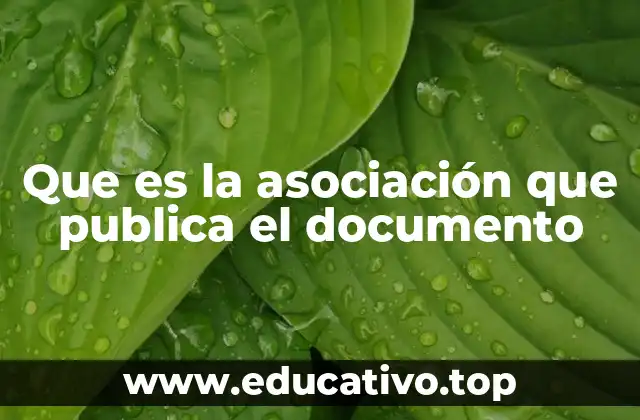Que es la asociación que publica el documento
