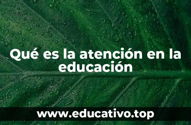 Qué es la atención en la educación