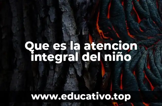 Que es la atencion integral del niño