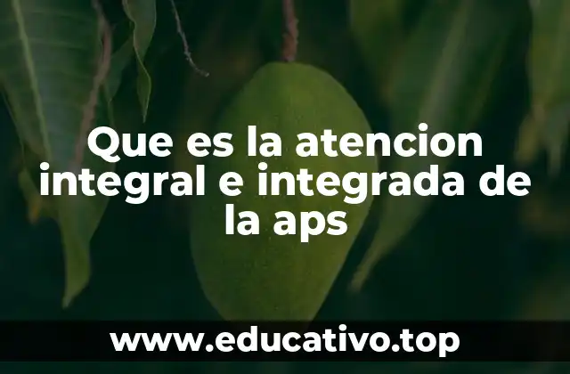 Que es la atencion integral e integrada de la aps