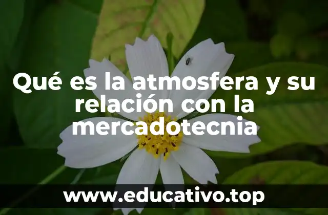 Qué es la atmosfera y su relación con la mercadotecnia