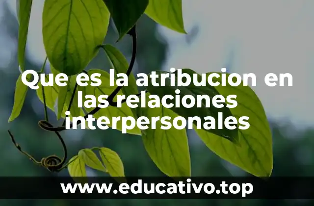 Que es la atribucion en las relaciones interpersonales