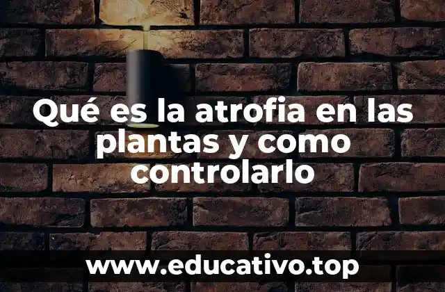 Qué es la atrofia en las plantas y como controlarlo