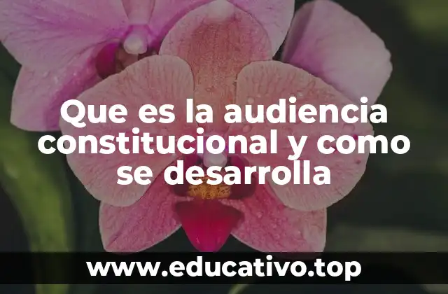 Que es la audiencia constitucional y como se desarrolla