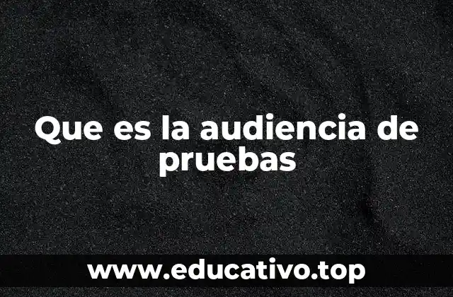 Que es la audiencia de pruebas