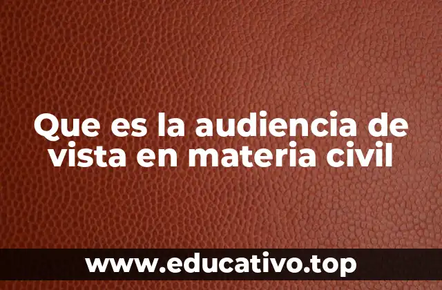 Que es la audiencia de vista en materia civil