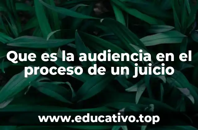 Que es la audiencia en el proceso de un juicio