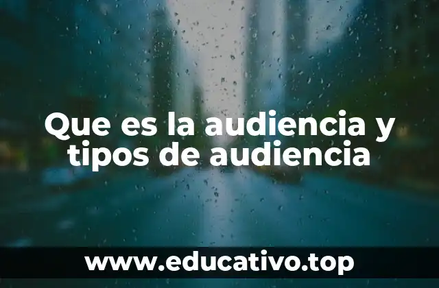 Que es la audiencia y tipos de audiencia