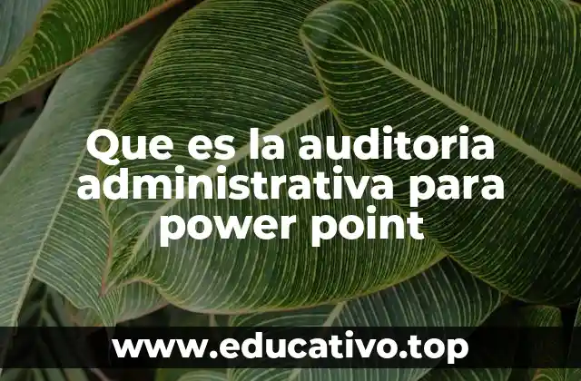 Que es la auditoria administrativa para power point