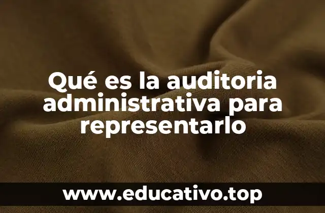 Qué es la auditoria administrativa para representarlo