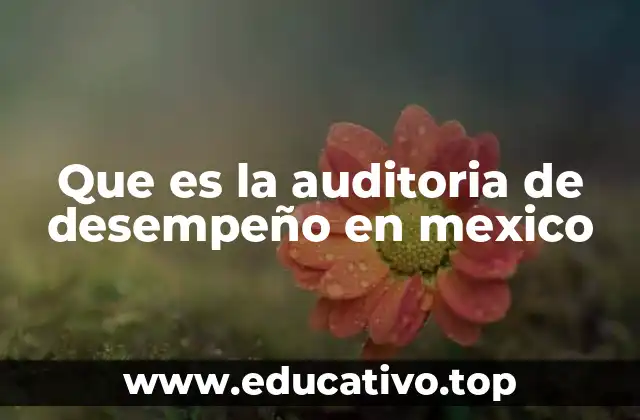 Que es la auditoria de desempeño en mexico
