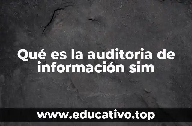 Qué es la auditoria de información sim