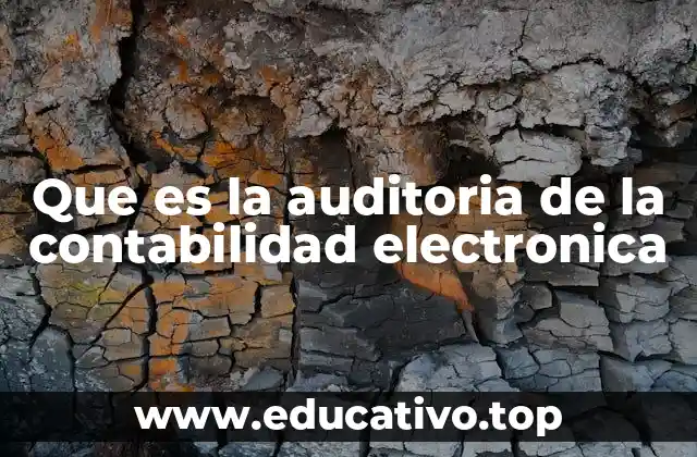 Que es la auditoria de la contabilidad electronica