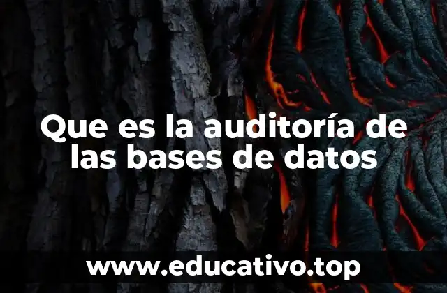 Que es la auditoría de las bases de datos