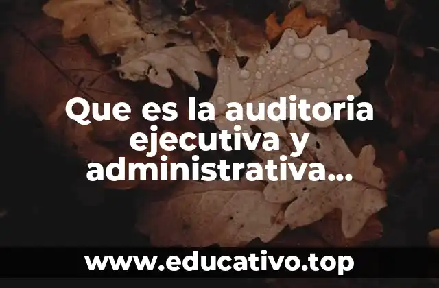 Que es la auditoria ejecutiva y administrativa educatina
