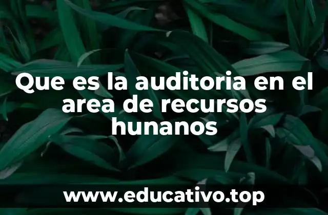 Que es la auditoria en el area de recursos hunanos