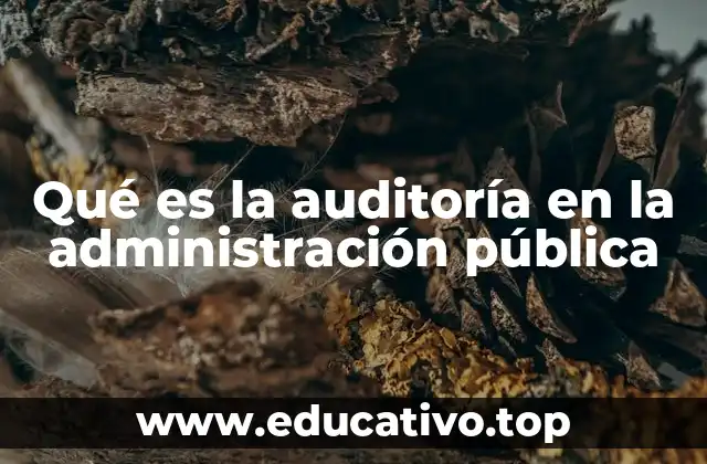 Qué es la auditoría en la administración pública