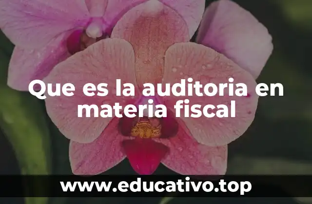 Que es la auditoria en materia fiscal