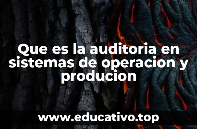Que es la auditoria en sistemas de operacion y producion