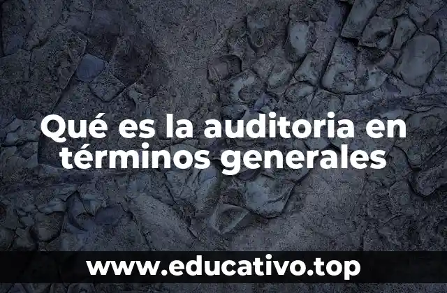 Qué es la auditoria en términos generales