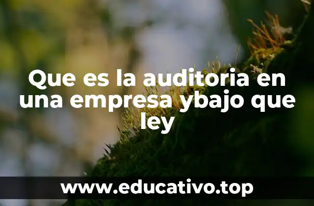 Que es la auditoria en una empresa ybajo que ley