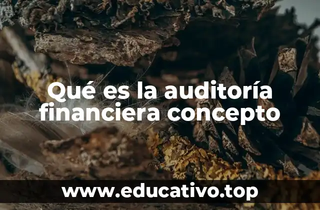 Qué es la auditoría financiera concepto
