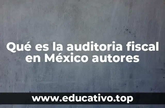 Qué es la auditoria fiscal en México autores