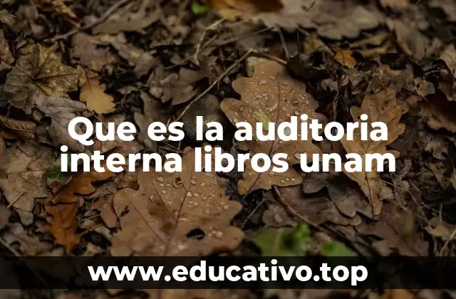 Que es la auditoria interna libros unam