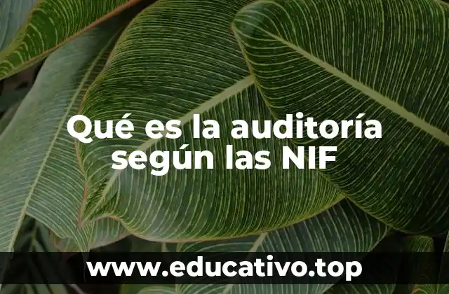 Qué es la auditoría según las NIF