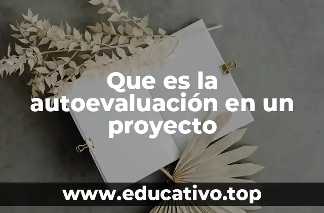 Que es la autoevaluación en un proyecto