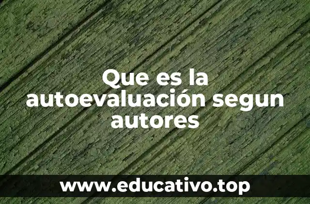 Que es la autoevaluación segun autores